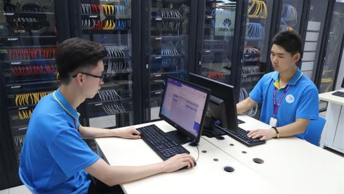 初三考不上高中怎么办？探索互联网技术开发的广阔新路径