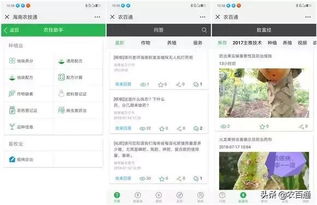 指尖跃动新希望——五指山市农民借力互联网技术开拓致富新路径